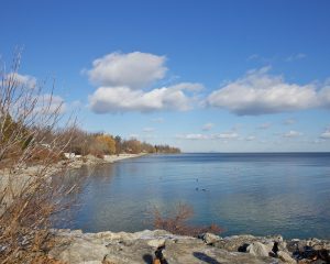 Oakville Lake